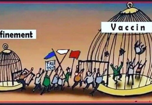 confinement-vaccin-cage (17610 visites) confinement-vaccin-cage