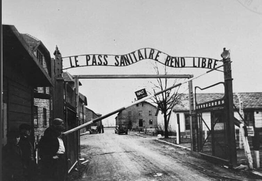 pass-sanitaire-rend-libre (21759 visites) "Le passe sanitaire rend libre" - auteur : inconnu pass-sanitaire-rend-libre