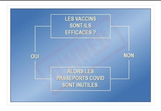 vaccins-passeport-oui-non (396 visites) vaccins-passeport-oui-non