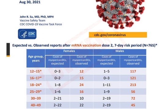 vaers-injections-dangereux-vaccins-2eme-dose-1 (447 visites) vaers-injections-dangereux-vaccins-2eme-dose-1