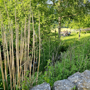 Evénements - Events