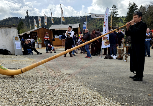 fTDM-6e-cor-des-alpes 5 (2739 visites) fTDM-6e-cor-des-alpes 5