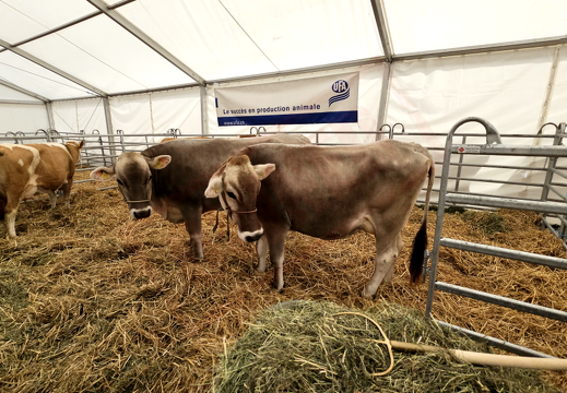 fTDM-6e-la-ferme-1 (2720 visites) fTDM-6e-la-ferme-1