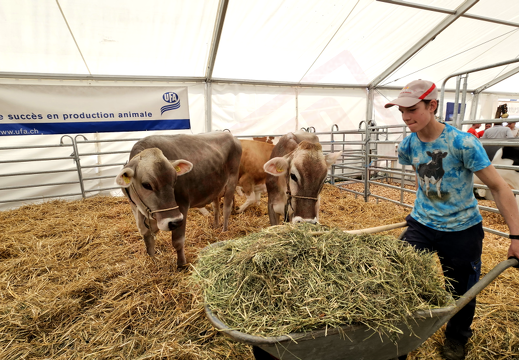 fTDM-6e-la-ferme-2 (2632 visites) fTDM-6e-la-ferme-2