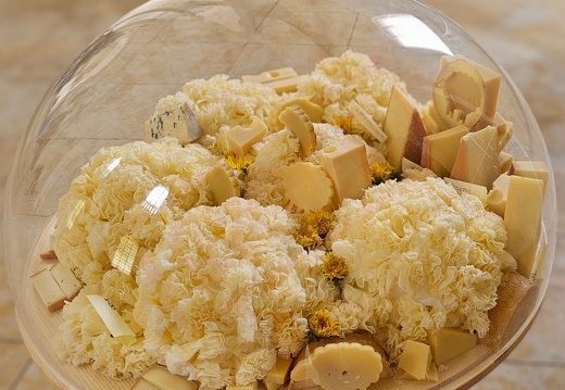 fTDM concours Plateau-Fromages Abbatiale Bellelay 8b (2680 visites) fTDM concours Plateau-Fromages Abbatiale Bellelay 8b