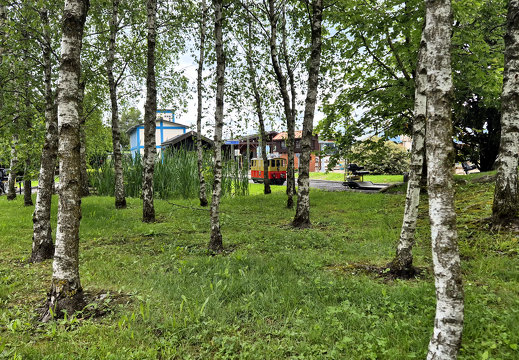 202405-Sortie-des-bien-etres27 123802
